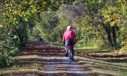 Enjoy the great outdoors on the rail trail